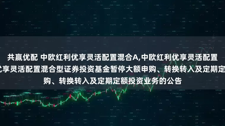 共赢优配 中欧红利优享灵活配置混合A,中欧红利优享灵活配置混合C: 中欧红利优享灵活配置混合型证券投资基金暂停大额申购、转换转入及定期定额投资业务的公告