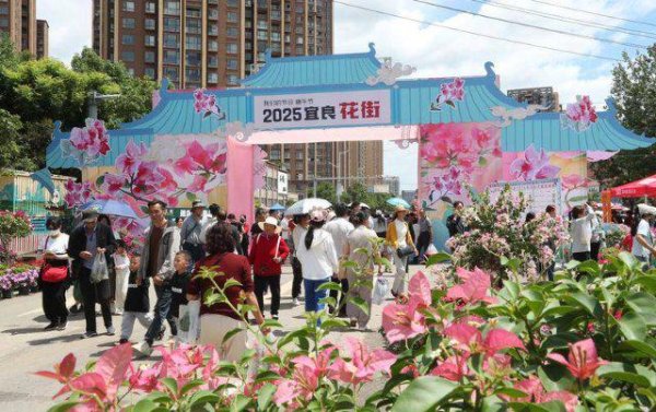 德益配资 昆明宜良：花乡盛宴迎宾客，花海人潮庆端午