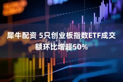 犀牛配资 5只创业板指数ETF成交额环比增超50%