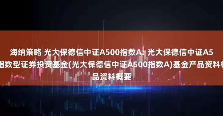 海纳策略 光大保德信中证A500指数A: 光大保德信中证A500指数型证券投资基金(光大保德信中证A500指数A)基金产品资料概要